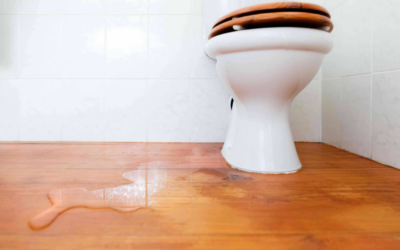 How to Fix Leaks from the Base of the Toilet: A Step-by-Step Guide