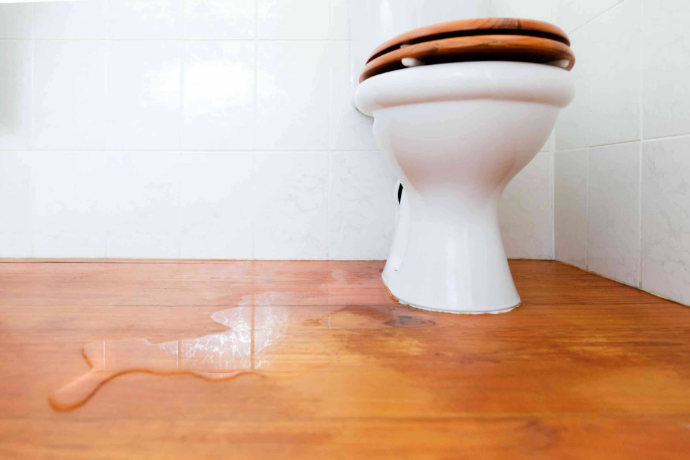 How to Fix Leaks from the Base of the Toilet: A Step-by-Step Guide