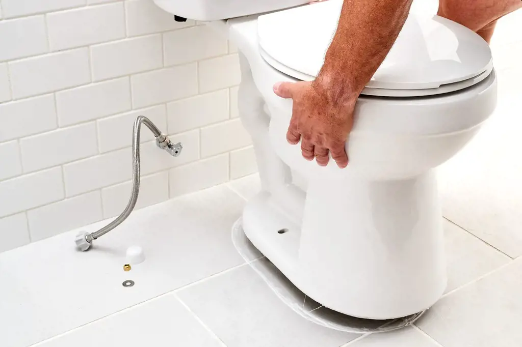 Reinstall the Toilet by shunshelter.com